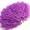 Violet, variante sur Yosoo 8 Couleurs 2 Pcs Pompons de Cheerleader à la Mode Accessoires de Danse de Fête Sportive, Pompons Cheerleading, Pompons Cheer