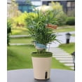 thumbnail image 4 of Indoor Soil Moisture Meter Watering Alarm Plant Water Tester Hygrometer Sensor Gardening Tool Kit for Planter Water Remind Warining Alert Content (Blue), 4 of 4