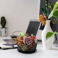 thumbnail image 3 of UsRHHA Resin Plastic Flower Pot With Base, 20cm Large Planter For Balcony Potted Plants, Imitation Ceramic Decorative Pot For Indoor Outdoor, 3 of 4