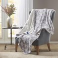 thumbnail image 1 of Beautyrest Plush to Sherpa Heated Throw, 1 of 3