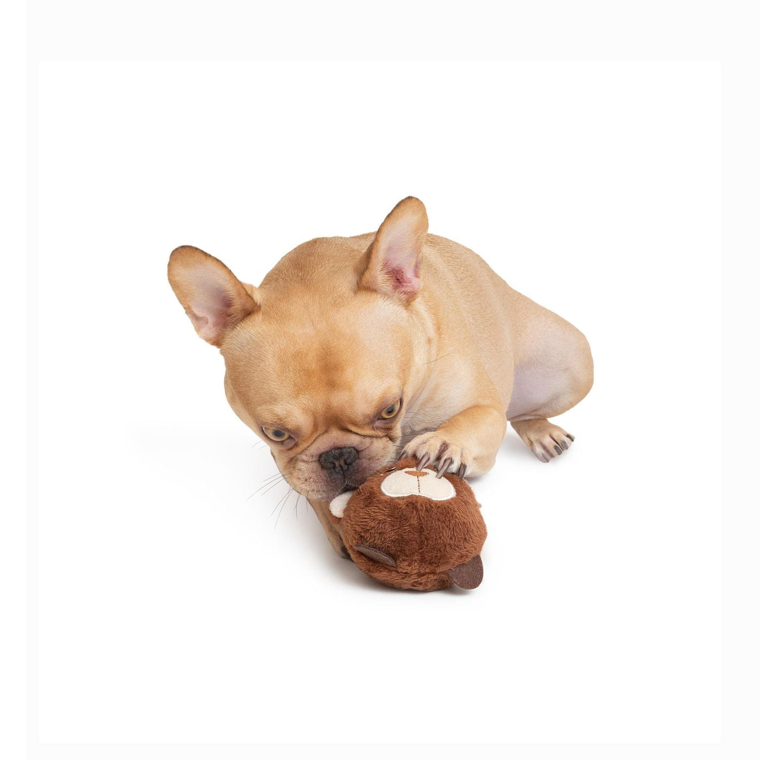 One Paw, jouet pour chien en forme de balle d'ours