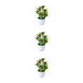 thumbnail image 2 of Ruiboury Add Touch Of Green To Living Space Artificial Plant Collection Home Decor Plastic Artificial Potted Plants False Plant Big Red Fruit 3Set, 2 of 6