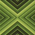 thumbnail image 1 of Ahgly Company Tapis d'Intérieur Lavable en Machine Carré Vert Pistache Transitionnel, 6 Pieds Carré, 1 of 7