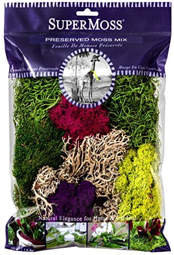 Super Moss SuperMoss (7 59834 23312 1) Moss Mix Preserved, 8oz