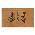 thumbnail image 1 of Days Sales Interesting Plant Summer Front Door Mat Indoor Outdoor Entrance Absorbent Carpet Rugs Floor Mat Simple Modern Welcome Front Porch Decor for Entryway, Kitchen Use - Home Decor 16x24IN, 1 of 6
