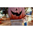 thumbnail image 4 of Halloweentown Double Feature, 4 of 5
