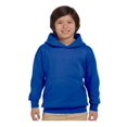 thumbnail image 1 of Hanes - Chandail à Capuchon pour Jeunes Ecosmart, 1 of 1