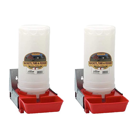 Little Giant 1-Gal Impact Translucent Polyethylene Piglet Waterer (2 Pack)