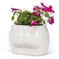 thumbnail image 3 of Curvy Booty Planter, 3 of 4