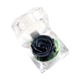 thumbnail image 1 of Amdohai Preserved Real Rose Flower in Clear Box Eternal Rose Scented, 1 of 7
