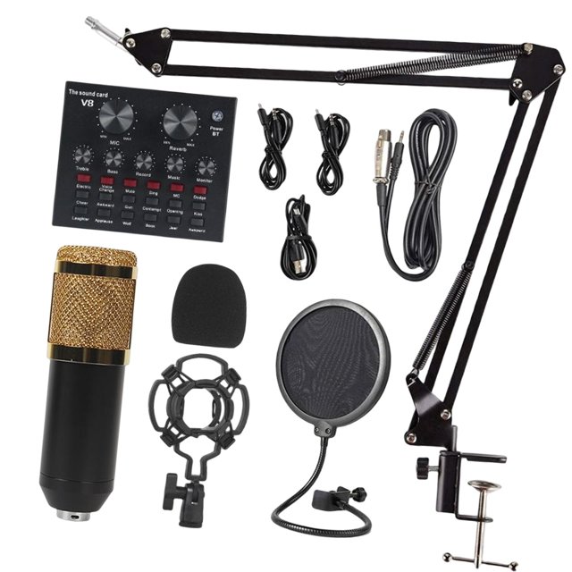 Carte Son de Conversion Vocale pour Chat Broadcast Vivant sur le Style B