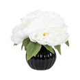 thumbnail image 1 of Enola Peonies in Ceramic Pot, 1 of 8