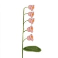 thumbnail image 1 of Valley Crochet Forever Flowers+Birthday Gift+Home Gift+Graduation Gift+Beautiful Flowers, 1 of 7