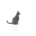 thumbnail image 2 of Schleich Cat Sitting Action Figure, 2 of 4