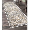 thumbnail image 1 of ECARPET Washable Oriental Area Rug & Runner for Kitchen, Bedside, Living Room, Bedroom, Hallway, 1 of 9