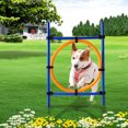 thumbnail image 1 of Hilitand Training Dog Training Pole, Pet Dog Training, For Pet Dog, 1 of 8