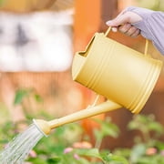 Watering Can for Indoor Plants, Flower Watering Can, Plastic Water Can for Plants, Large Capacity Gardening Patio Watering Long Spout Watering Can 2L
