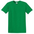 thumbnail image 1 of Gildan Gd 5000 5.3 Oz Heavy Cttn Ss T, 1 of 1