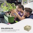 thumbnail image 5 of RENACLIPY 5pcs Good Air Permeability Grow Starter Plugs Green, 5 of 5