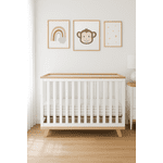 Concord Baby Cleo 3 in 1 Crib