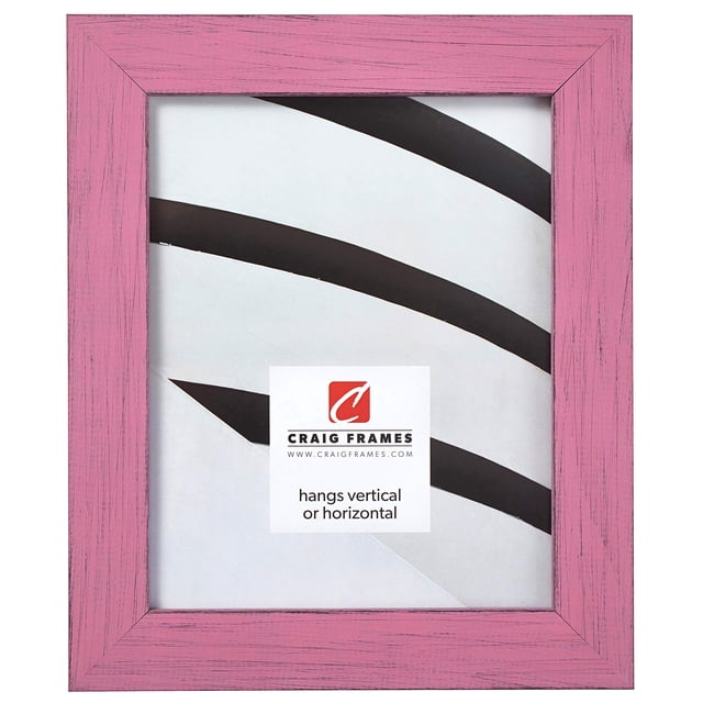 Craig Frames Jasper Picture Frame, 8 x 11 Inch, Country Petticoat Pink