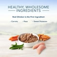 thumbnail image 3 of Blue Buffalo Homestyle Recipe Large Breed Chicken Dinner Wet Dog Food, 3 of 6