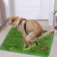 thumbnail image 2 of Ultimate Washable Dog Grass Mat - Reusable, Odor-Control Artificial Lawn for Pet Training, Easy-Clean Pee Pad Non-Slip Backing,green,46X58cm, 2 of 6