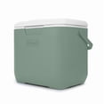 thumbnail image 1 of Coleman - 30 Qt Chiller Personal Cooler (38 cans) - Hickory Moss, 1 of 1