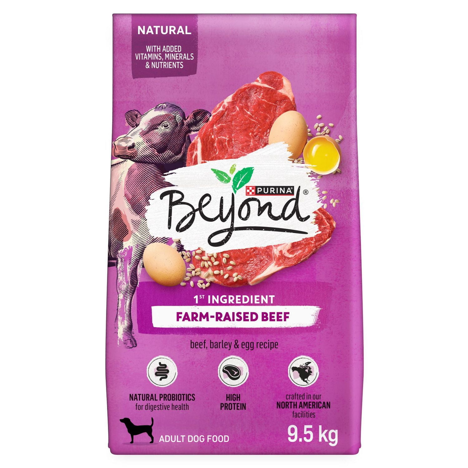 Beyond Simply Farm-Raised Beef, Barley & Free Run Egg Recipe, Dry Dog Food 9.5KG