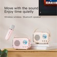 thumbnail image 2 of Retro mini speaker portable wireless Bluetooth speaker microphone outdoor karaoke, 2 of 8