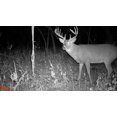 thumbnail image 4 of Wildgame Innovations DRT Extreme 8MP IR Game Camera Combo 2 Pack, 4 of 4