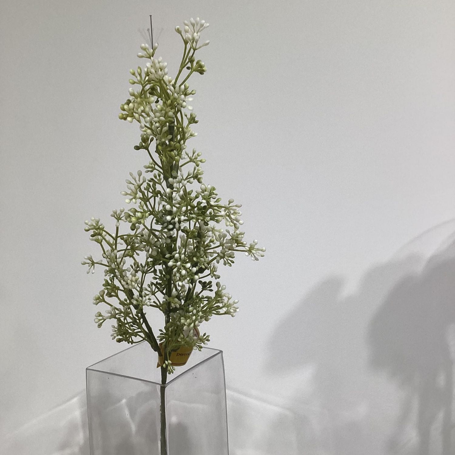 FLEUR DE SOUFFLE DE BEBE