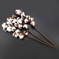 thumbnail image 2 of Wedding Cotton Flower, Dried Flower Natural  For Wedding Party, Home, 2 of 8