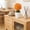 Orange, variant on Artificial Potted Plants Money Tree Grass Ball Bonsai Home Decor Floral Ornaments Creatives Mini Round Ball Devise Suitable For Indoor Tabletop Decoration