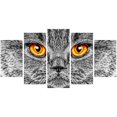 thumbnail image 1 of Design Art Gray CAT Animal Art Multi-Panel Canvas Wall Art, 1 of 2