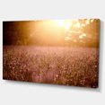 thumbnail image 2 of Brown Tinged Lavender Field Sunset - Floral Canvas Art Print, 2 of 3