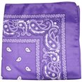 thumbnail image 1 of 3 Pack Mechaly Dog Bandana Neck Scarf Paisley Polyester Bandanas - Any Pets, 1 of 2
