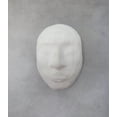 thumbnail image 5 of ACTÍVA Tissu de Plâtre Rigide, 4 Po x 180 Po, 5 of 5