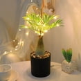 thumbnail image 1 of Lampe Fée Palmier à LED - Décor Tropical Alimenté par USB avec Éclairage Chaud pour Bureau, Bar, Table - Plastique ABS Vert 19x10x9cm - Parfait pour Fêtes, Mariages & Décoration Intérieure, 1 of 1