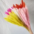 thumbnail image 1 of Artificial Dried Pampas Grass Realistic Vibrant Color Easy Maintenance Wedding Centerpiece Pampas Grass Fake Plant Decor, 1 of 7