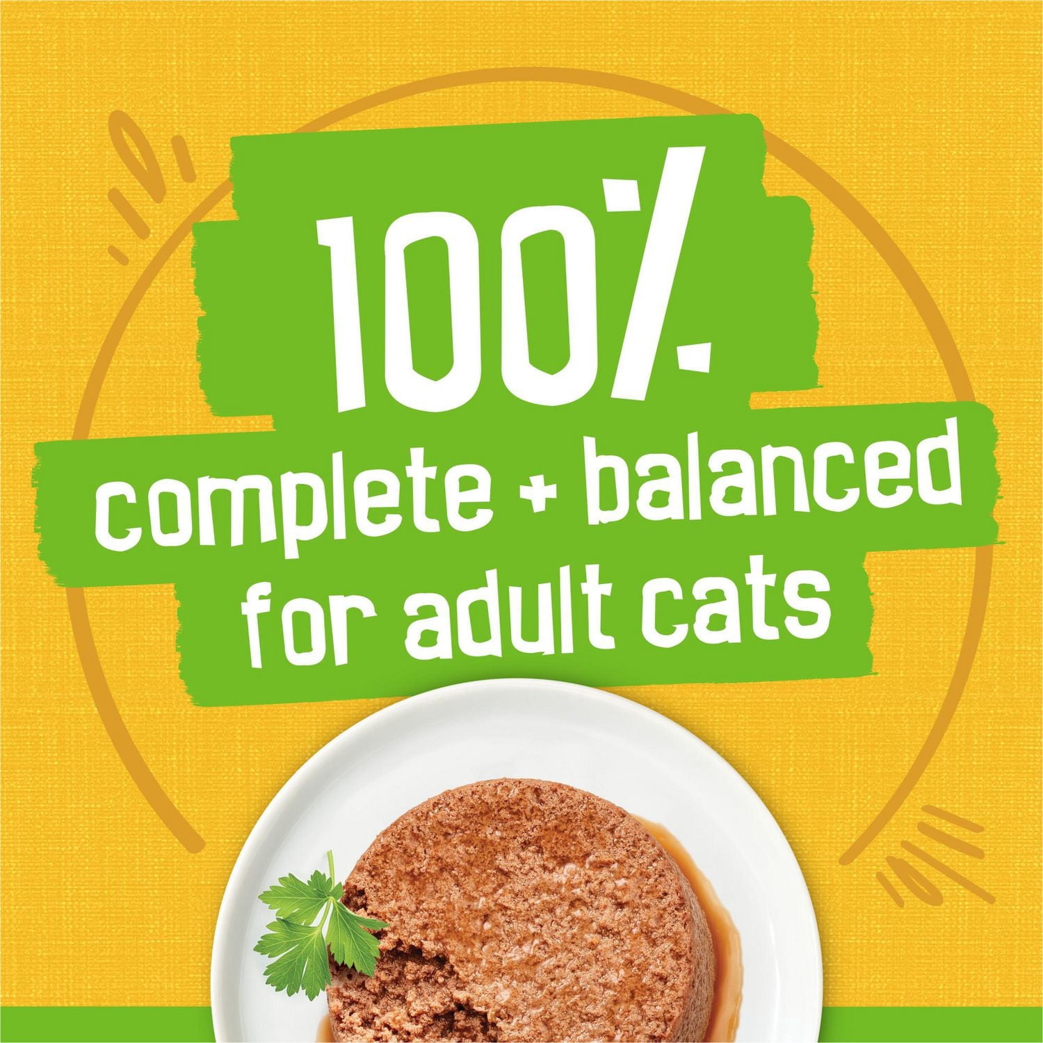 Purina Friskies Pate Chicken Dinner, Wet Cat Food 156G
