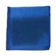 thumbnail image 1 of jinwen Double Layer Cornhole Bag - PVC Bean Bag for Corn Hole Game 3.9 Inch X 3.9 Inch blue, 1 of 9