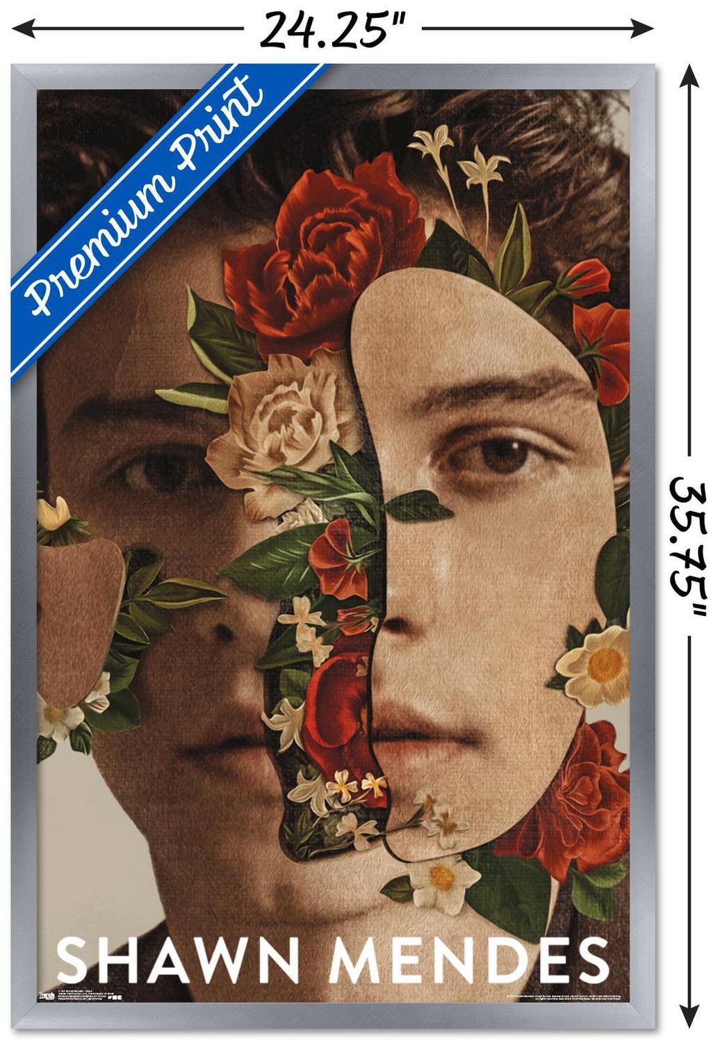 Shawn Mendes
