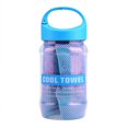 thumbnail image 1 of Breathable Super Breathable Cooling Effect Towel with Storage Bottle for Sports Gym Workout Light Blue, 1 of 8