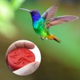 thumbnail image 3 of Handheld Hummingbird Feeders Mini Hand Feeder Outdoors Garden Pentagram Bird Feeder, 3 of 6