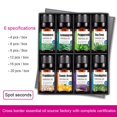 thumbnail image 1 of 10ML Pure Natural Plant Essential Oils Aroma Essential Oil Diffuser Eucalyptus Vanilla Mint Lavender Rose Tea Tree Essential Oil, 1 of 5
