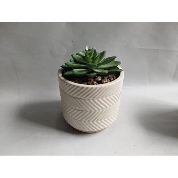 Ceramic Decor