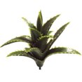 thumbnail image 1 of Coofit Artificial Succulent DIY Realistic Mini Unpotted Succulent Artificial Plant, 1 of 10