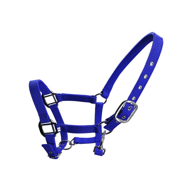 Wweixi Collier de Tête de Cheval Rembourré à Licou Grande Résilience Fournitures de Cheval Selle de Course Professionnelle Bleue P