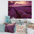 thumbnail image 1 of Designart Sunrise & Dramatic Clouds Over Lavender Field III Canvas Wall Art, 1 of 4